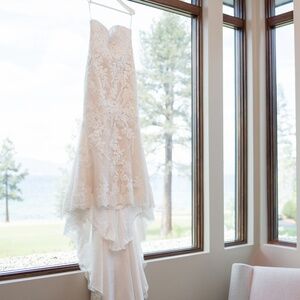 Aegir by Pronovias wedding dress